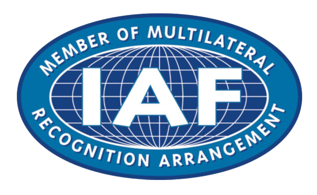 BeeSmart IT Solutions - IAF